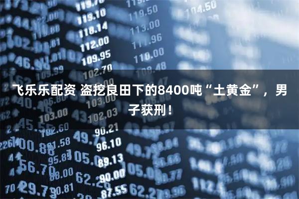 飞乐乐配资 盗挖良田下的8400吨“土黄金”，男子获刑！